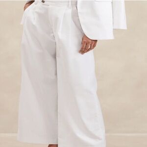 Banana Republic Linen Pant (NWT)